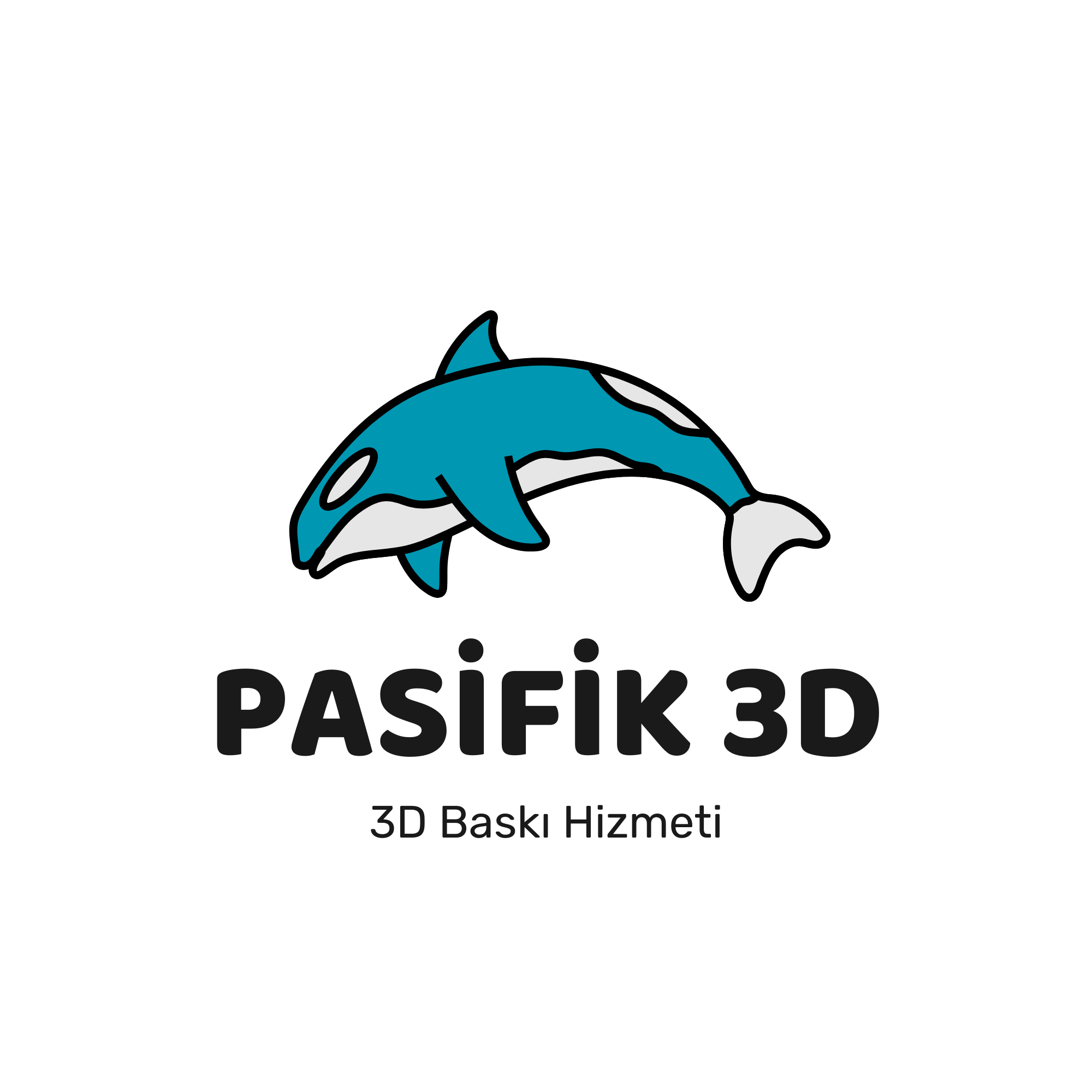Pasifik 3D logo